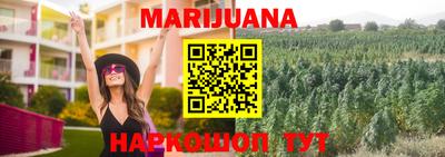 PSILOCYBIN Будённовск