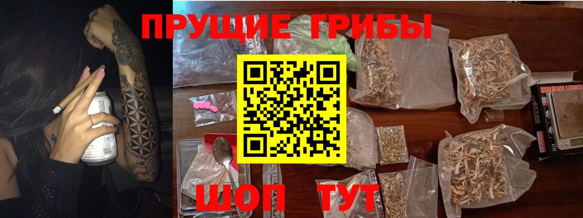 Псилоцибиновые грибы Magic Shrooms Ставрополь