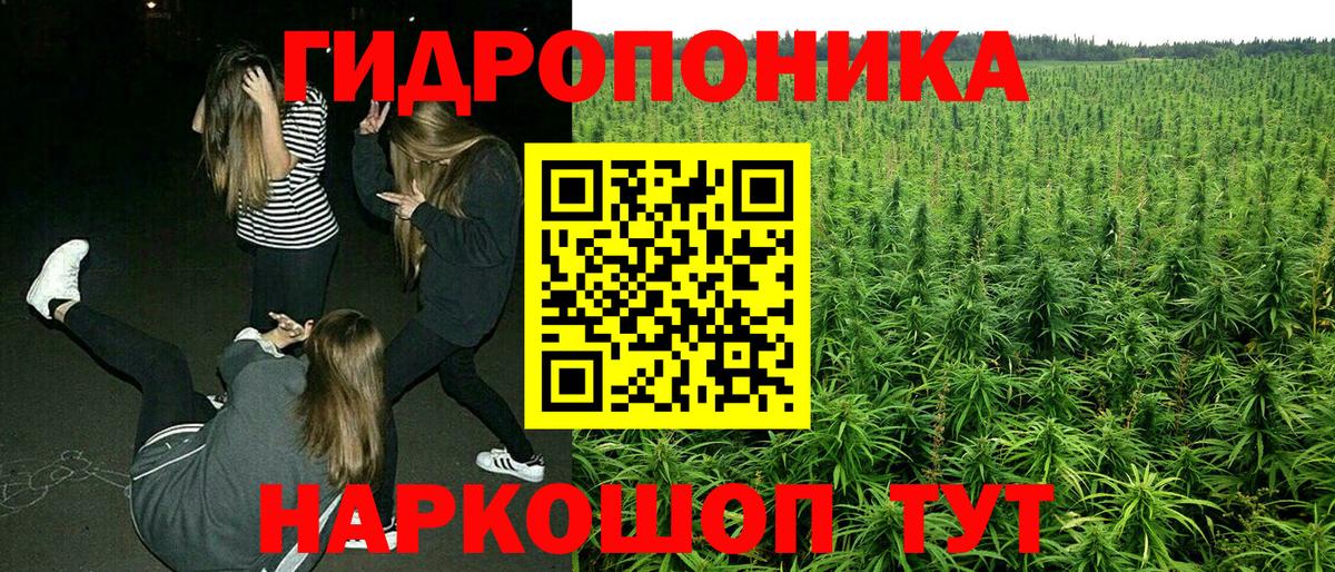 Канабис SATIVA & INDICA  Канабис OG Kush  Каннабис планчик  Вход с VPN  Ставрополь 